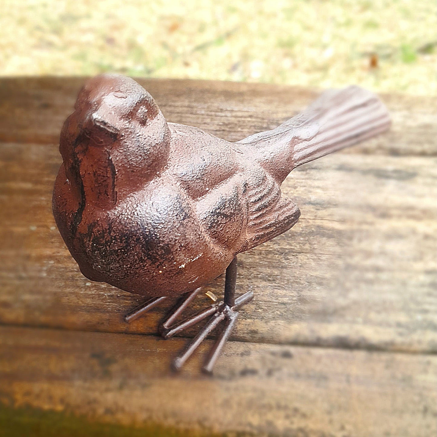Cast Iron Birdie